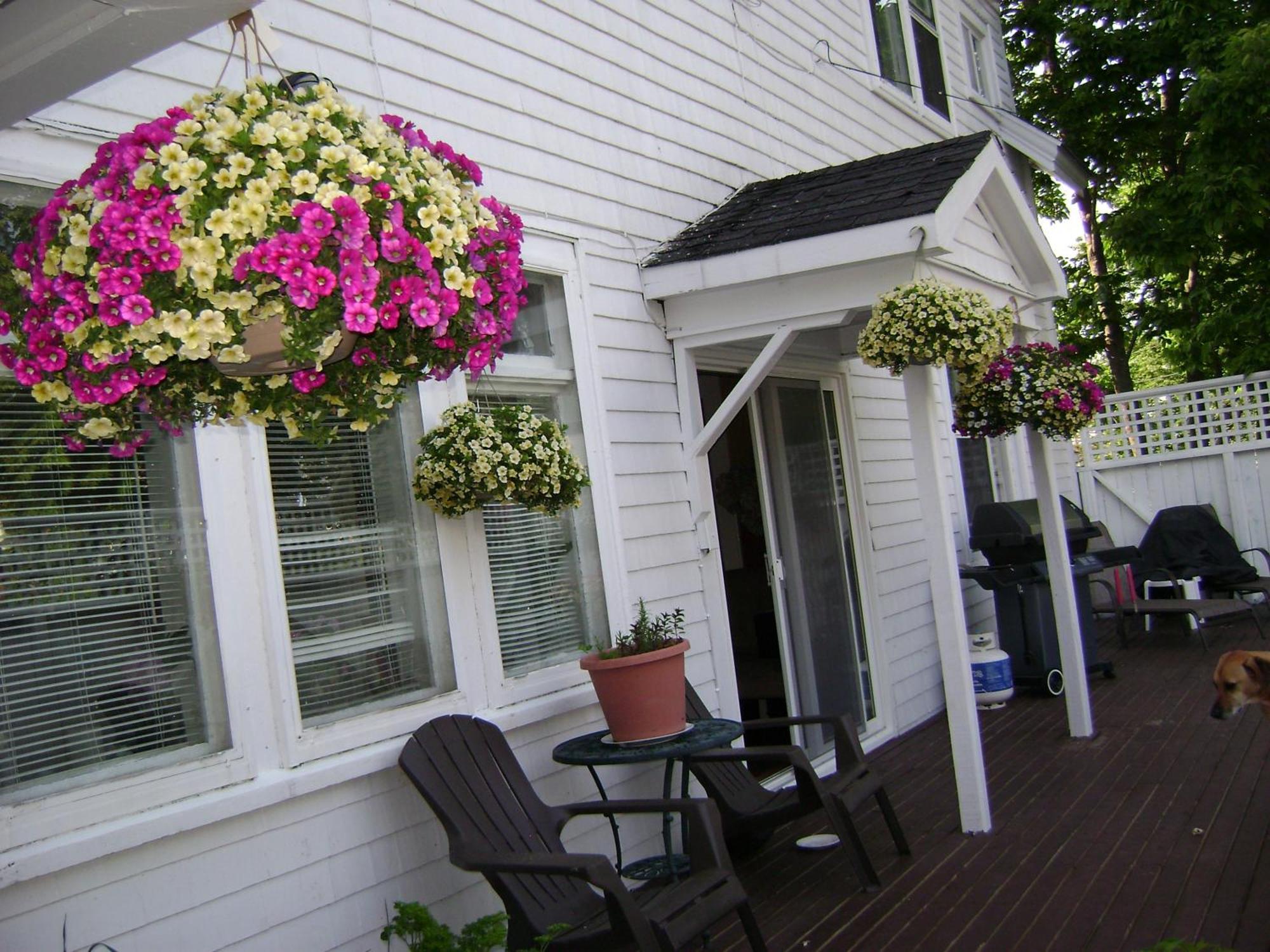 Lakelawn B&B And Motel Yarmouth Eksteriør billede